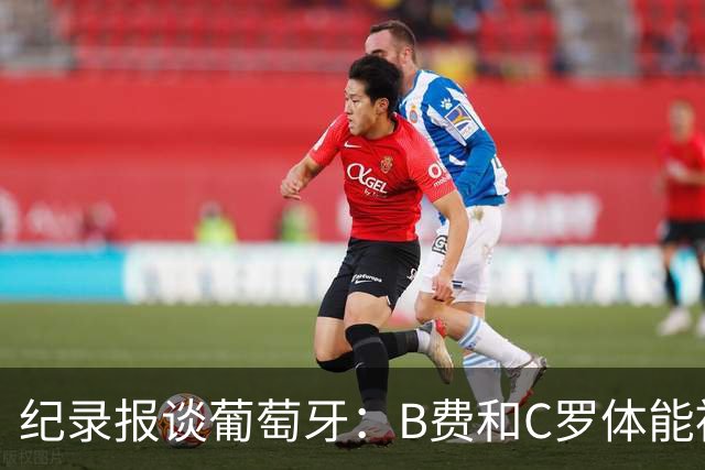 纪录报谈葡萄牙：B费和C罗体能被逼到了极限 主力未得到充分休息