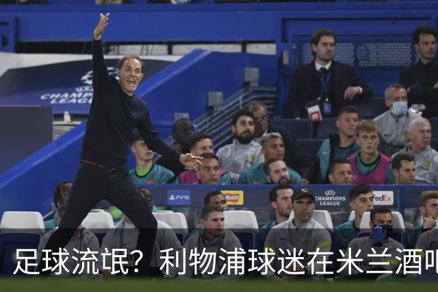 足球流氓？利物浦球迷在米兰酒吧被围攻 头部受伤